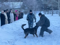 Занятие по уголовному процессу у студентов Читинского института БГУ прошло в кинологической службе